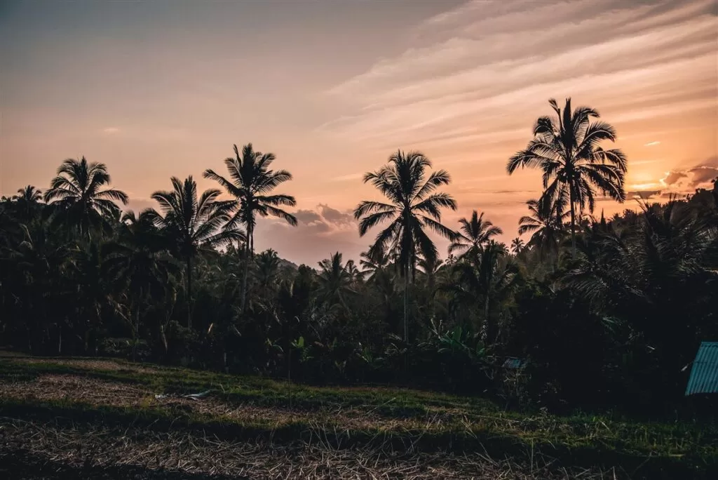 Sunset Munduk, Bali