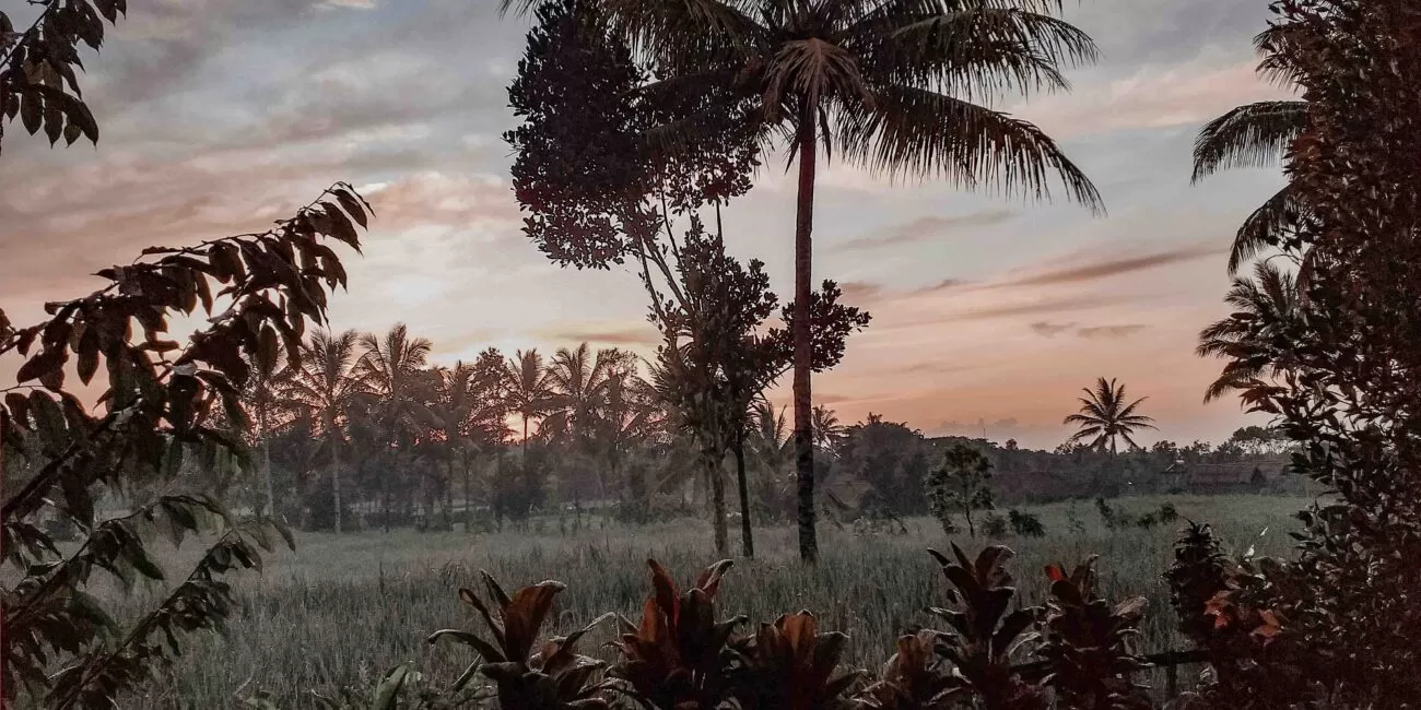Sunrise Tetebatu, Lombok, Indonesia