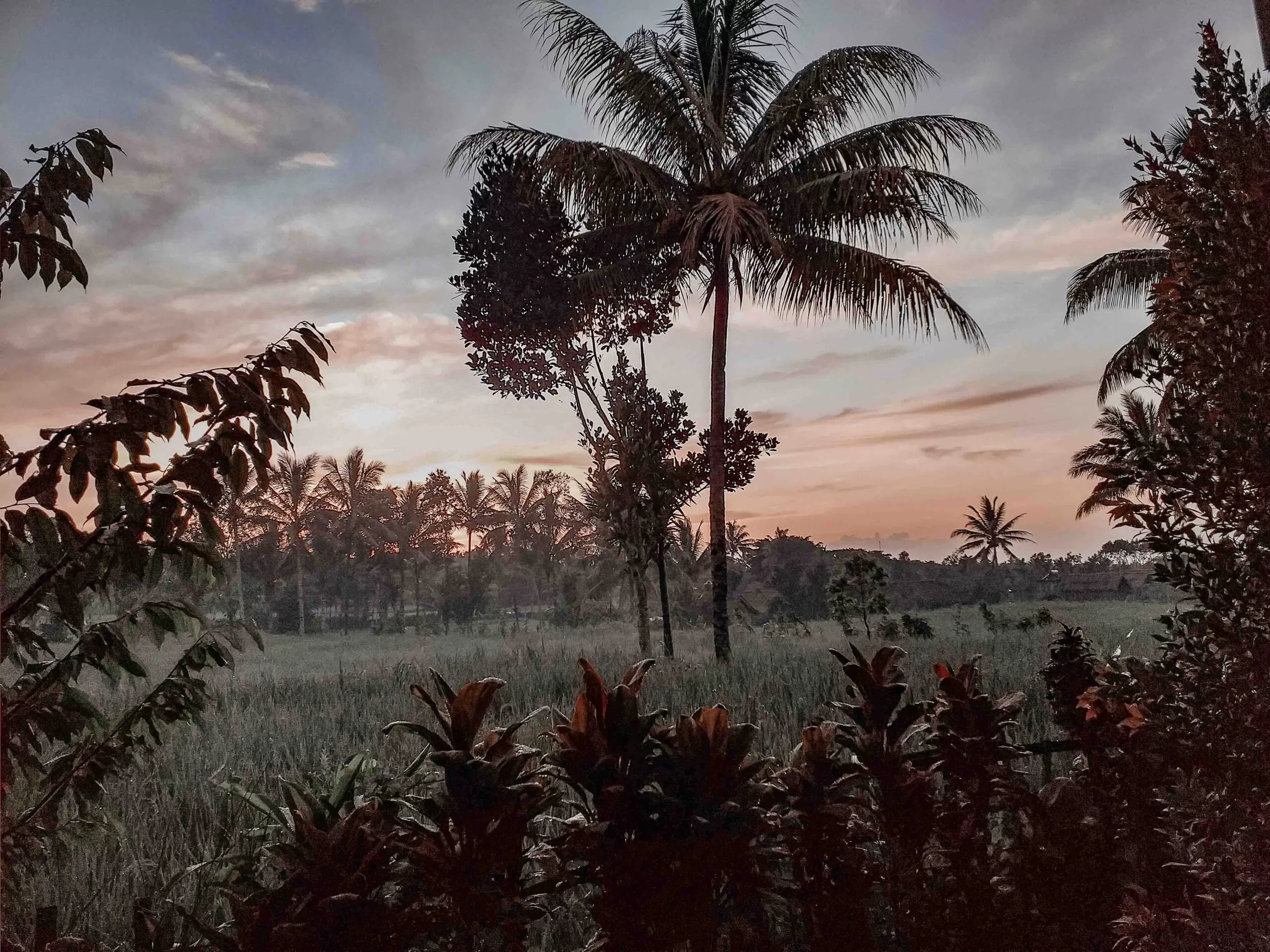 Sunrise Tetebatu, Lombok, Indonesia