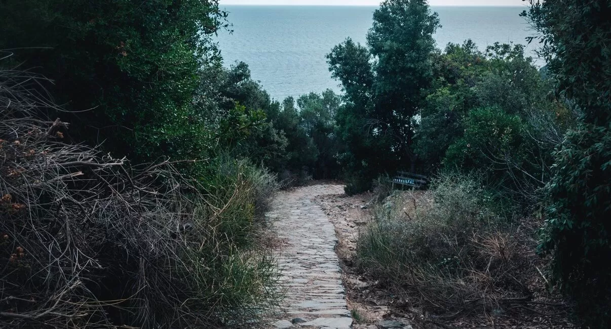 Road to Fakistra Beach, Pelion, Greece