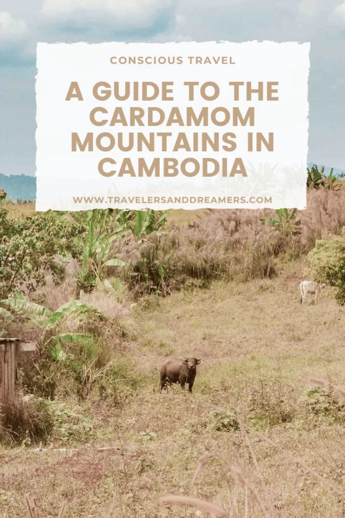 conscious travel guide to the Cardamom Mountains in Cambodia