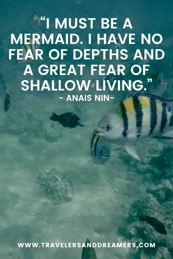 Vitamn sea quotes: Anais Nin