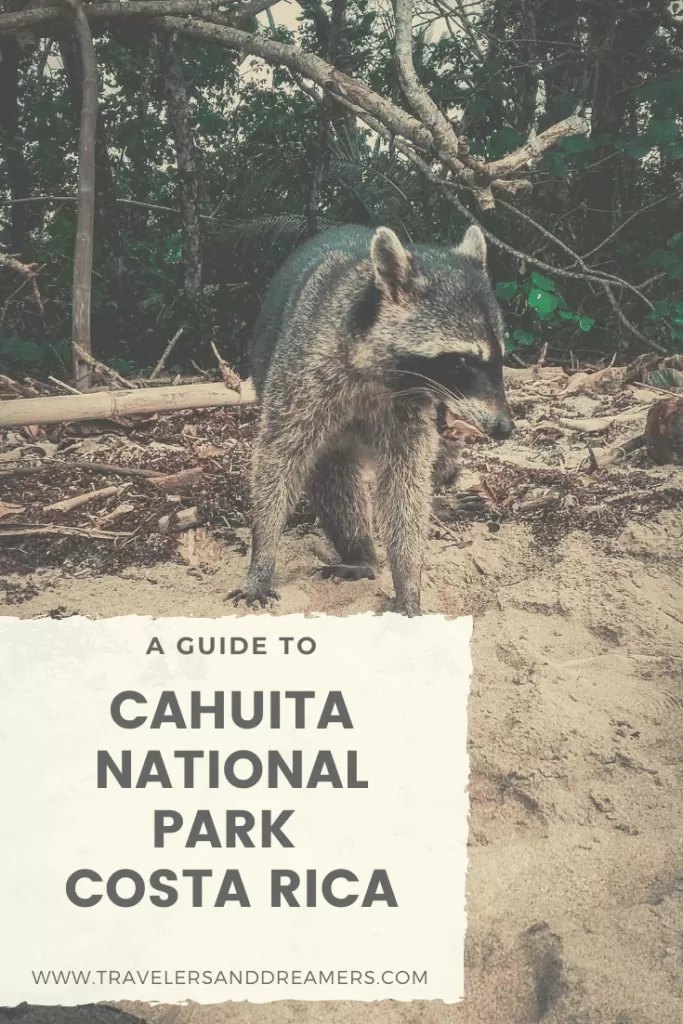 Guide to Cahuita National Park, Costa Rica
