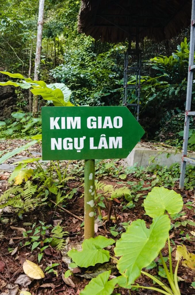 Kim Giao Ngu Lam trail