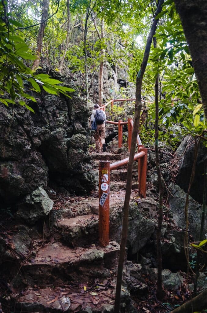 Kim Giao Ngu Lam trail