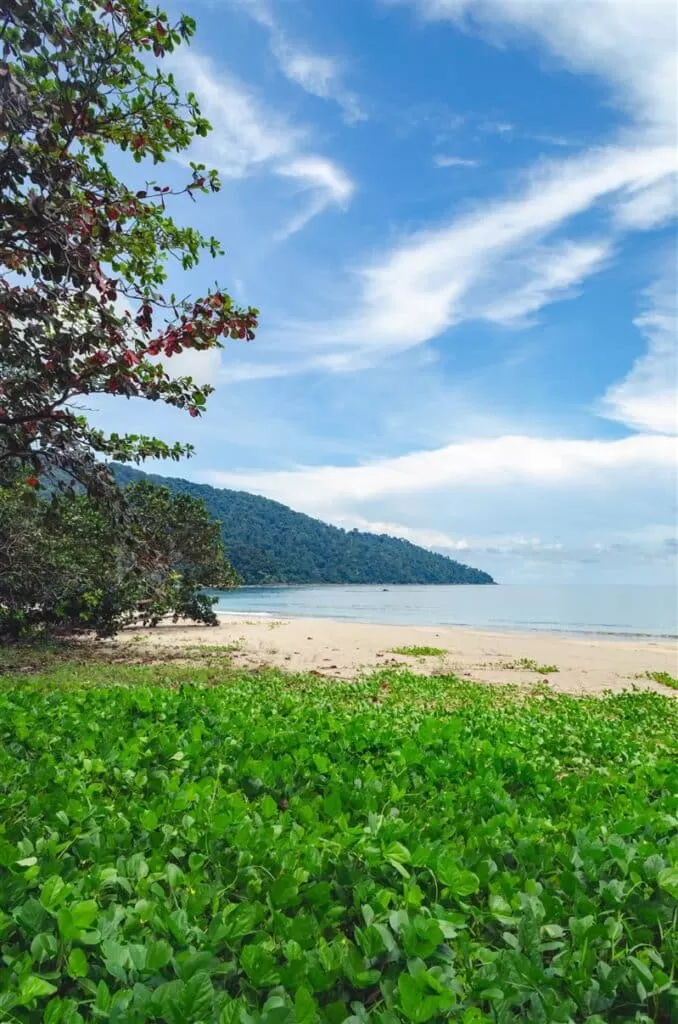 Unspoilt beaches of Tanjung Datu National Park