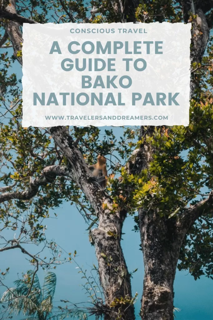 A complete guide to Bako National Park
