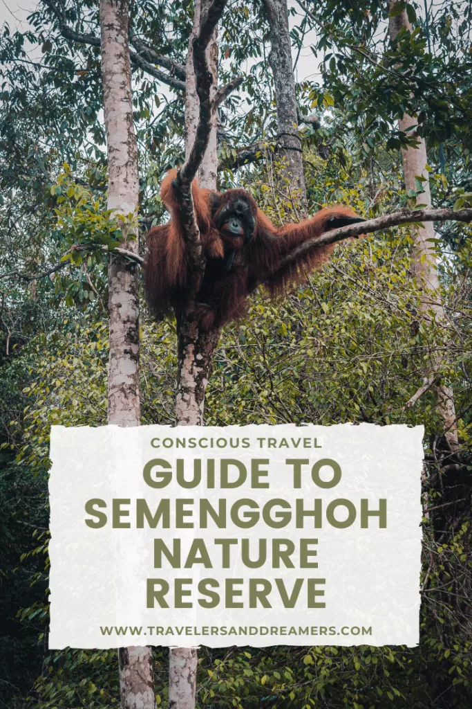 Guide to Semengghoh Wildlife Center