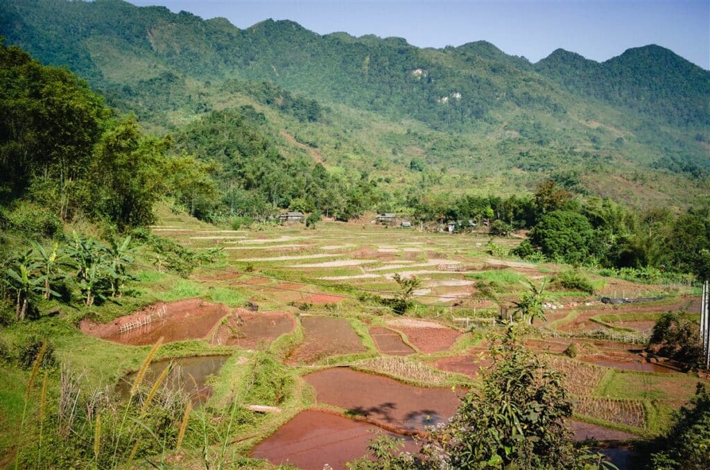 Na Meo Ricefields, Vietnam