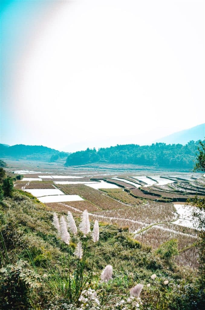 Rice paddies, Pu Luong Vietnam
