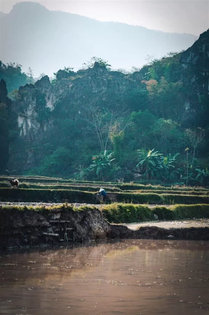 Rice paddies, Pu Luong Vietnam