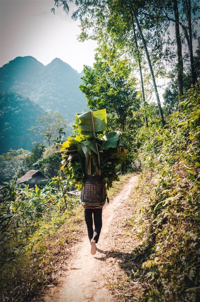 Local Thai woman, Pu Luong, Vietnam