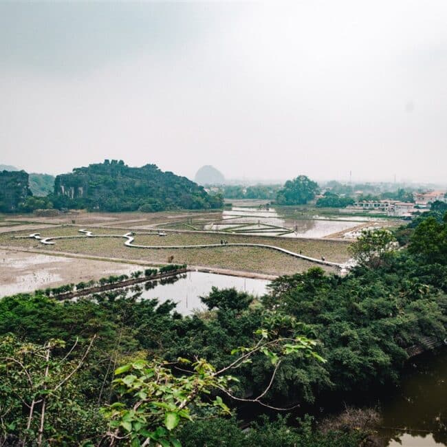 Rice fields around Hang Mua
