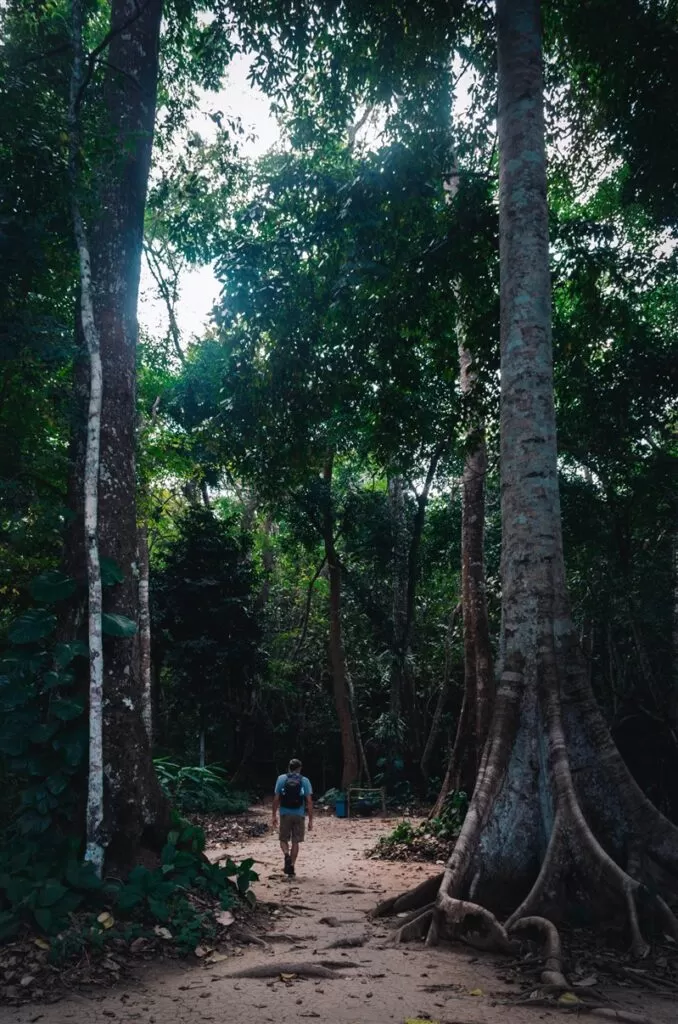 Hiking trails in Kuang Si forest, Laos
