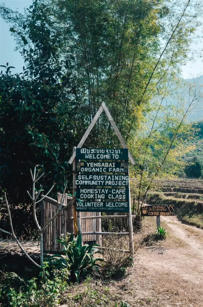 Yensabai organic farm, Laos