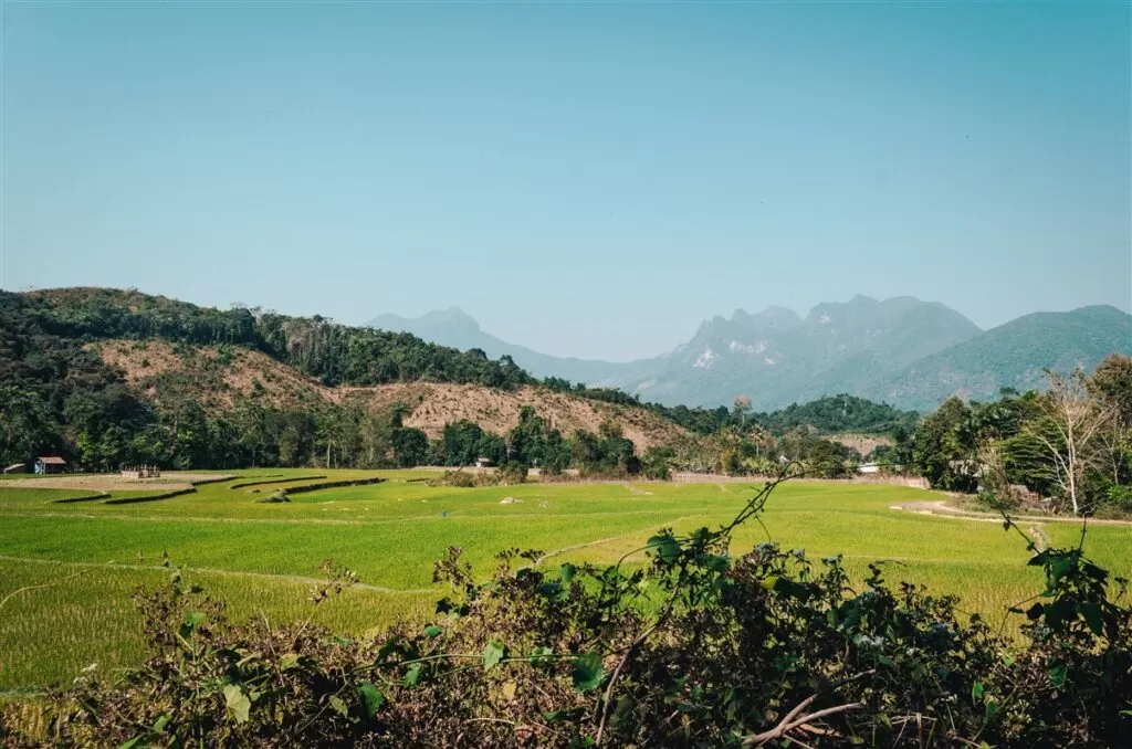 Rice terraces in Sop Kong village, Laos