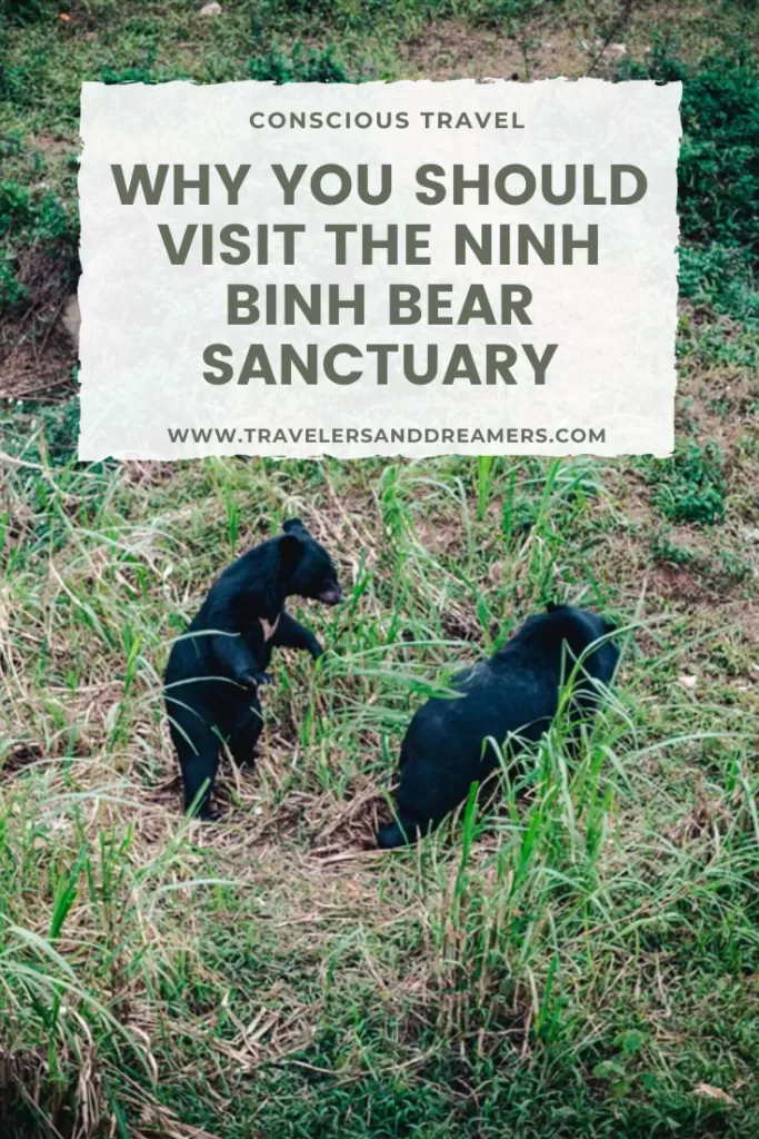 A guide to the Ninh Binh Bear Sanctuary in Vietnam