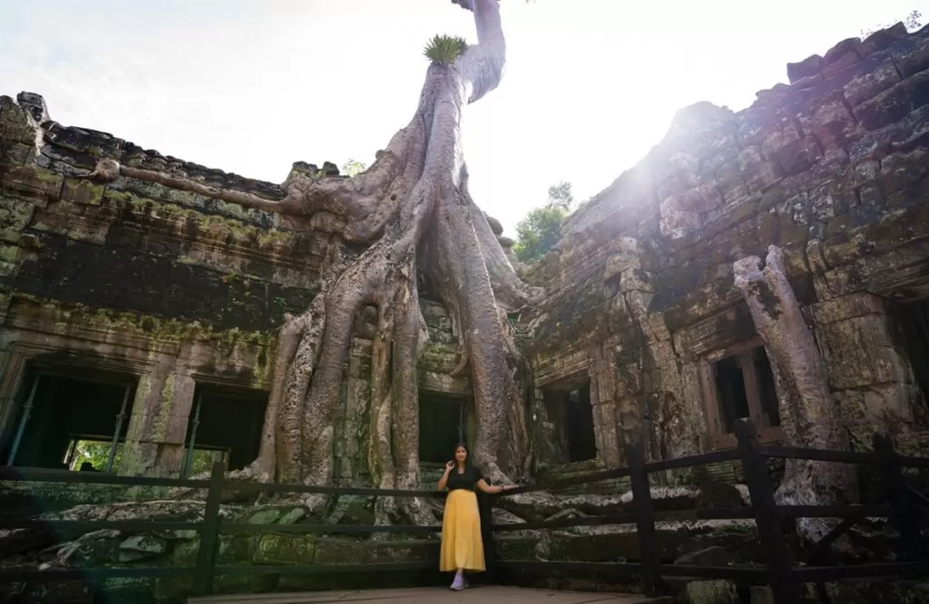 Beautiful temple in Southeast Asia: Ta Prohm temple, Cambodia