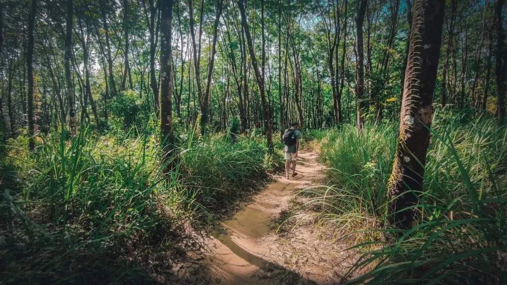 Hiking trails on Koh Phayam, Thailand