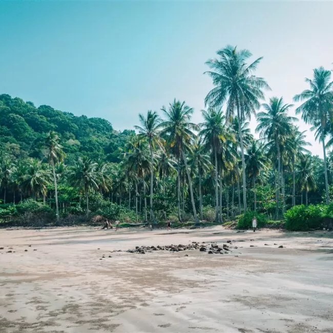 Coconut beach, Koh Jum (ko pu), Thailand