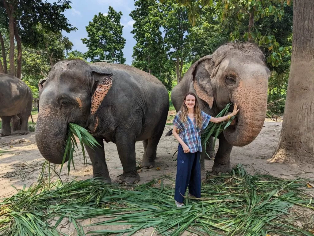 Maerim Elephant Sanctuary, Chiang Mai, Thailand