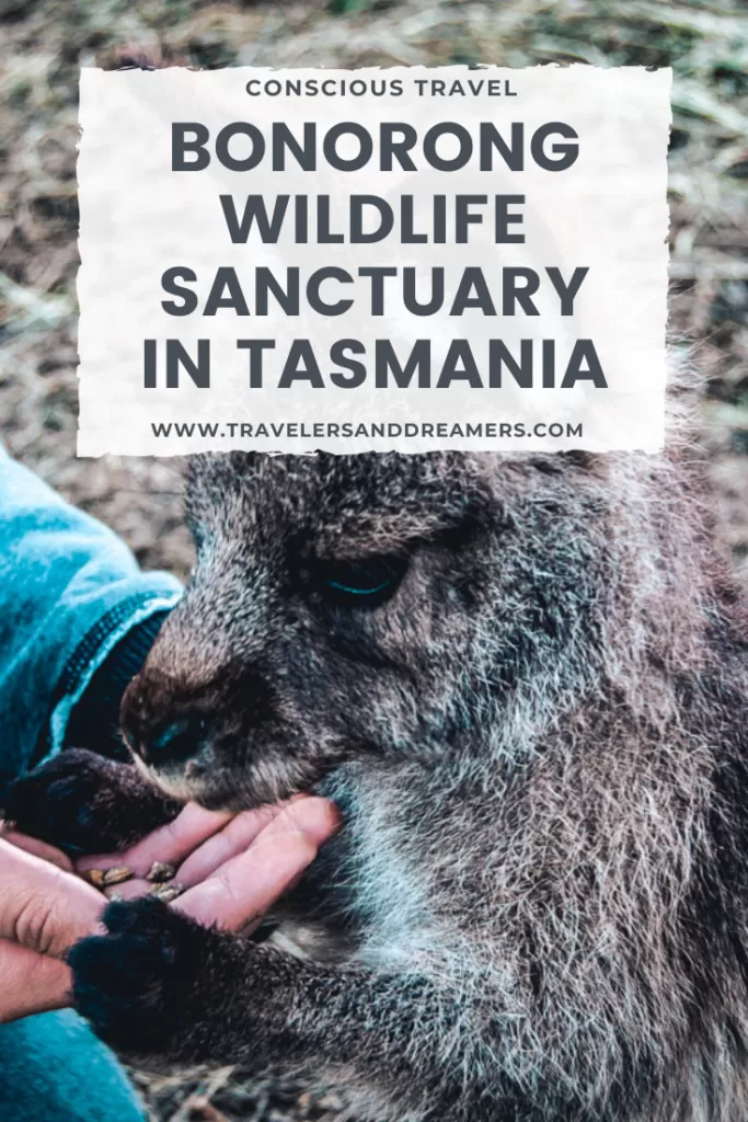 A Guide to Bonorong Wildlife Sanctuary, Tasmania