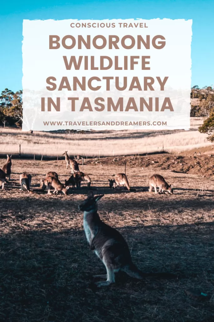 A Guide to Bonorong Wildlife Sanctuary, Tasmania