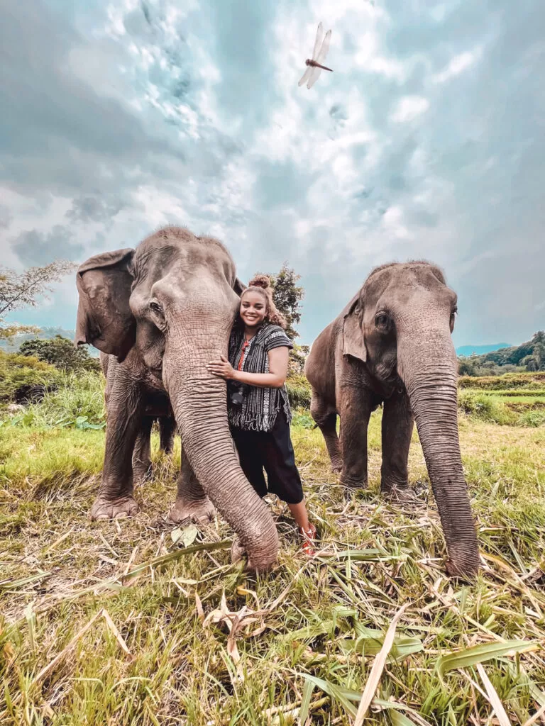 Doi lam Elephant Retreat, Chiang Mai