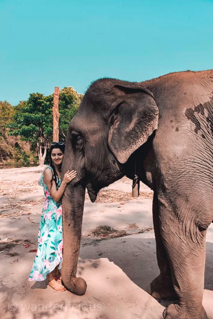 Maeklang Elephant Sanctuary in Chiang Mai