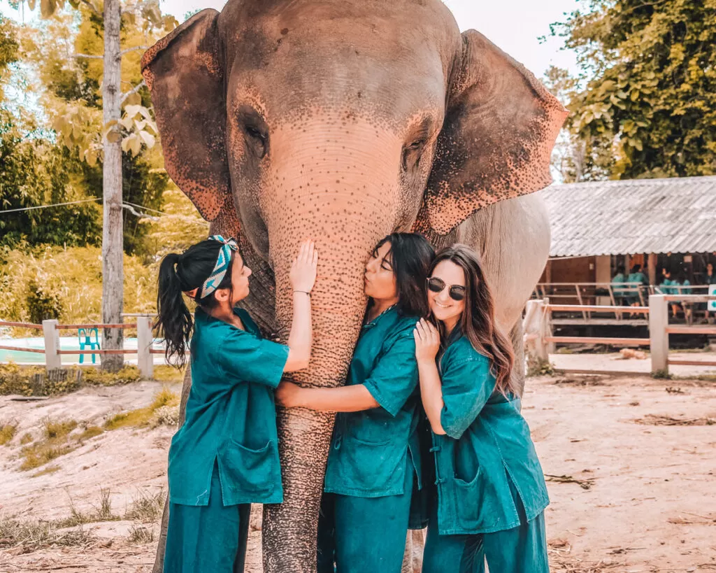 Maerim Elephant Sanctuary, Chiang Mai