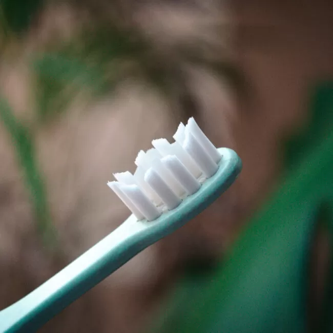 Suri toothbrush review
