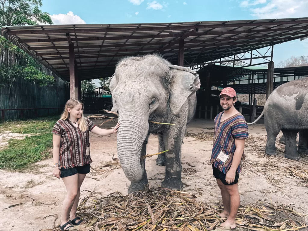 The Jungle Elephant Sanctuary Camp 8, Chiang Mai