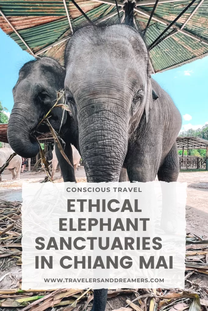 Ethical elephant sanctuaries in Chiang Mai, Thailand