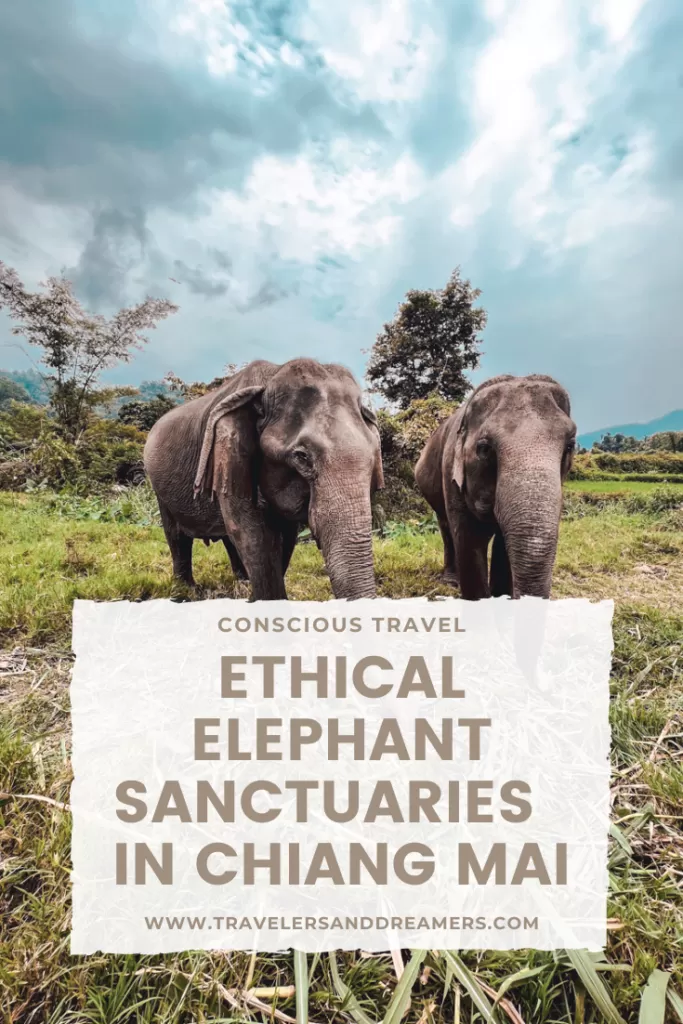 Ethical elephant sanctuaries in Chiang Mai, Thailand