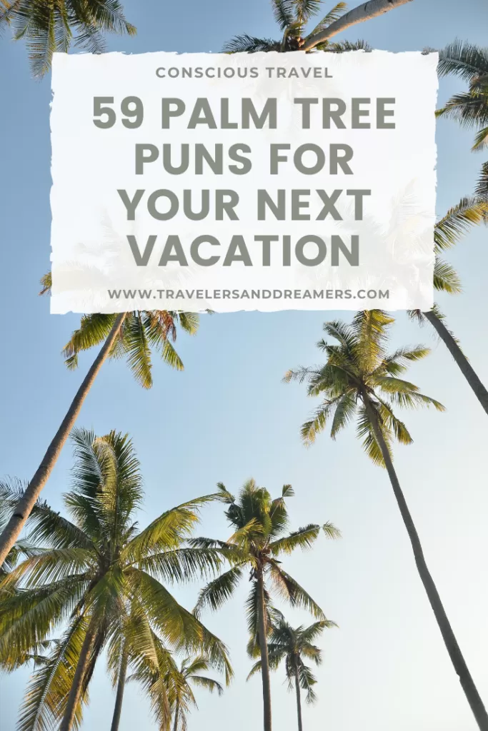 59 palm tree puns for your next tropical vacation