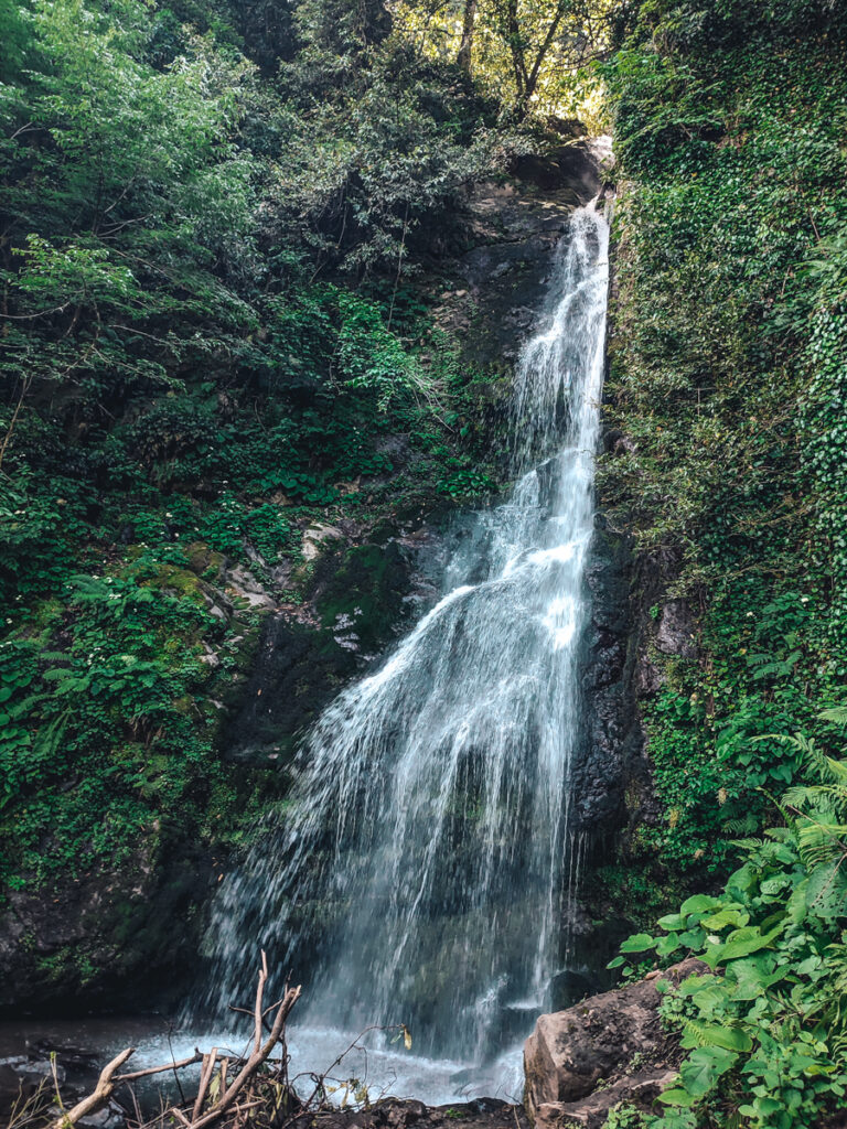 Mtirala National Park: Tsablnari Waterfall. This is a shot taken from the bottom of the waterfall