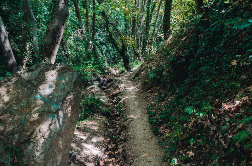 Centaur path, Portaria, Pelion, Greece