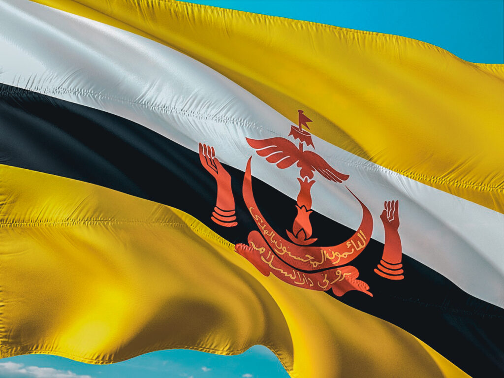 flag of Brunei