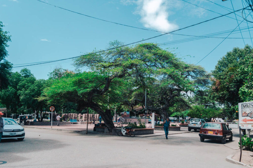 The main square of Villavieja, Colombia. You can see a huge tree in the middle providing a lot of shade.