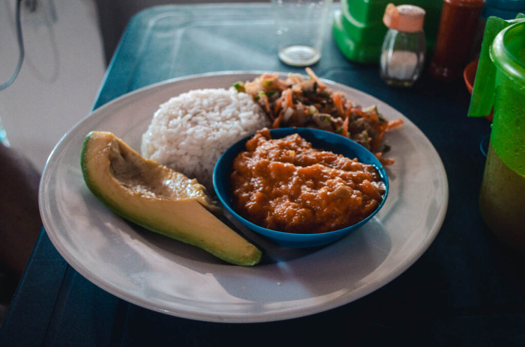 Vegan Colombia- rice, coriander salad, avocado and bean stew