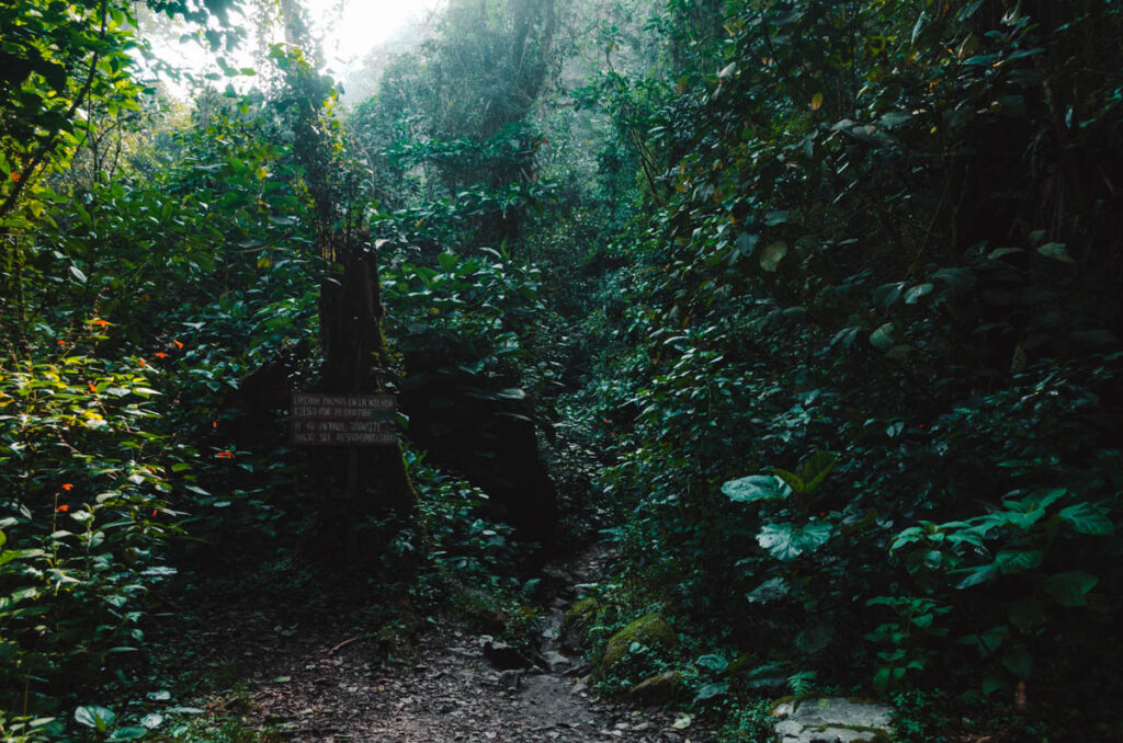 Cocora Valley hike: sign of the palma de la Niebla waterfall