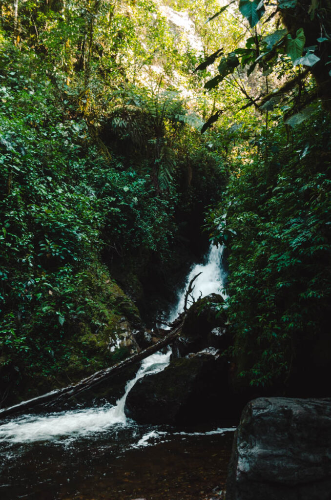 Cocora Valley, Colombia: the palma de la Niebla waterfall
