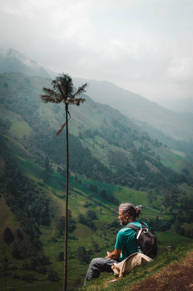 Cocora Valley, Colombia: Wax palms at viewpoint one