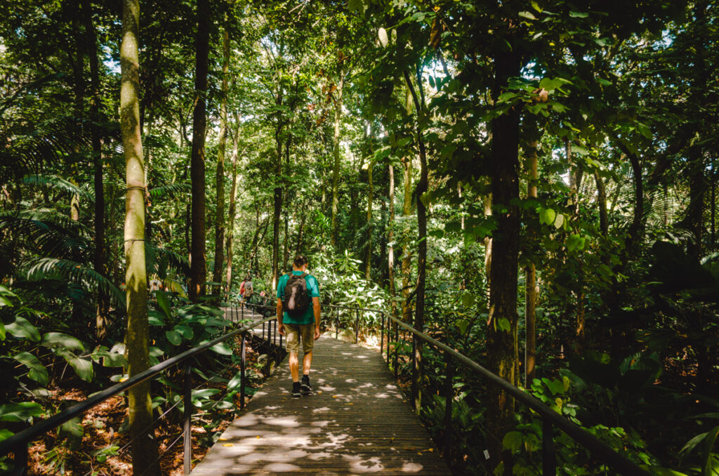 Jardin Botanico, Medellin, Colombia: wooden walkways in the tropical forest