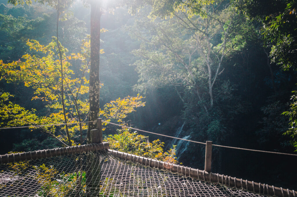 Marinka Waterfalls, Minca, Colombia: Giant hammock