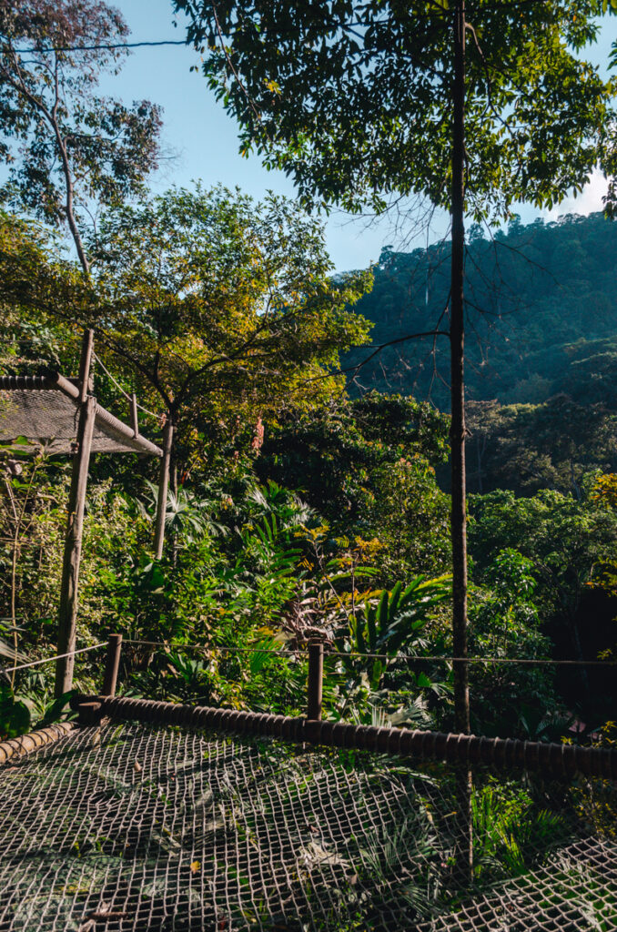 Marinka Waterfalls, Minca, Colombia: A giant hammock
