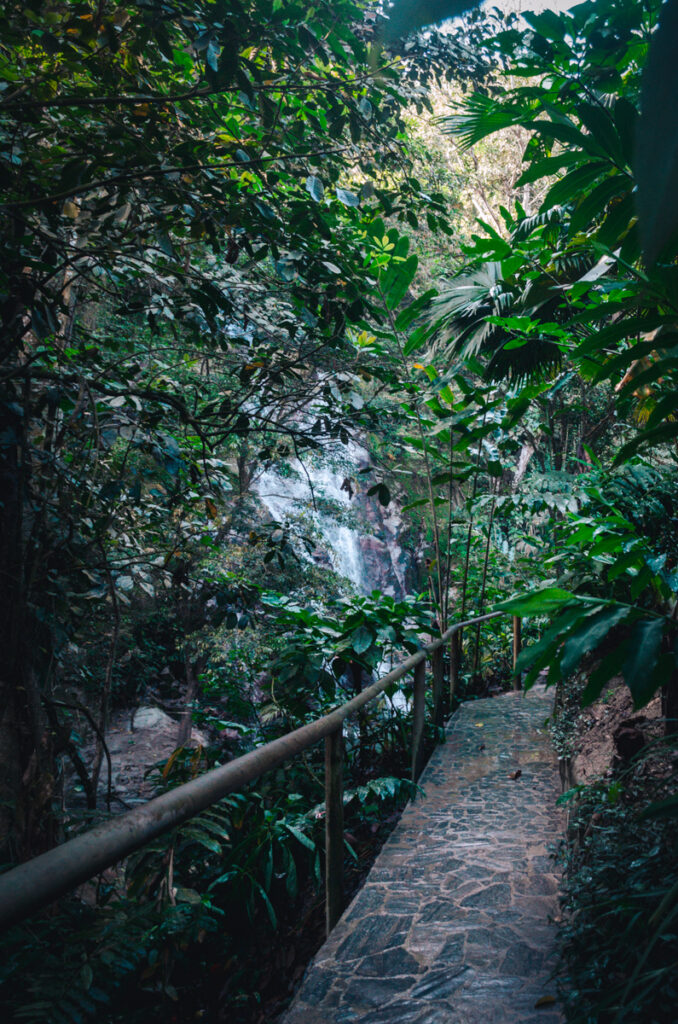 Marinka Waterfalls, Minca, Colombia: pathways inside the park