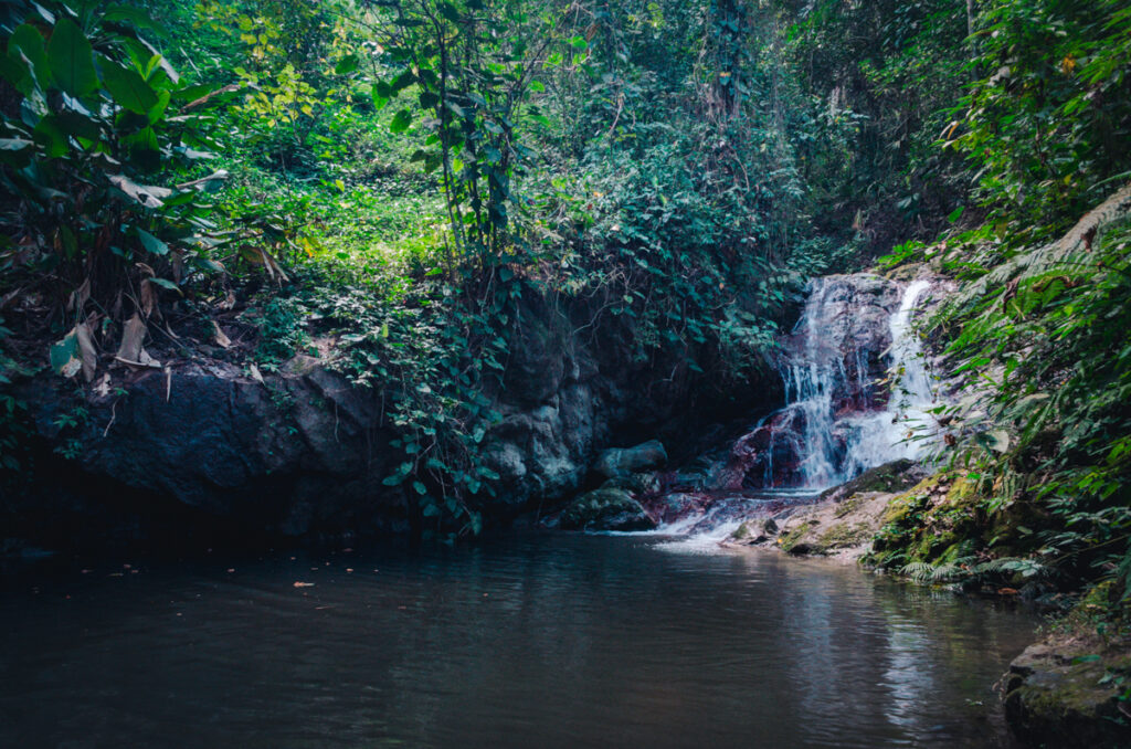 Marinka Waterfalls cascada 3, Minca, Colombia