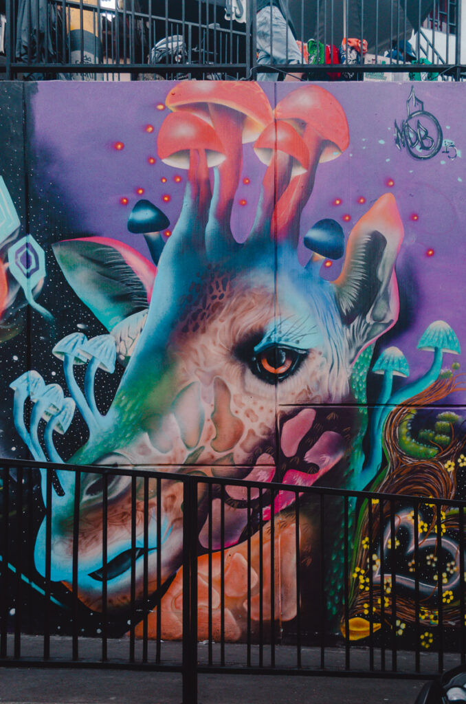 Medellin, Colombia- Comuna 13 Street Art giraf