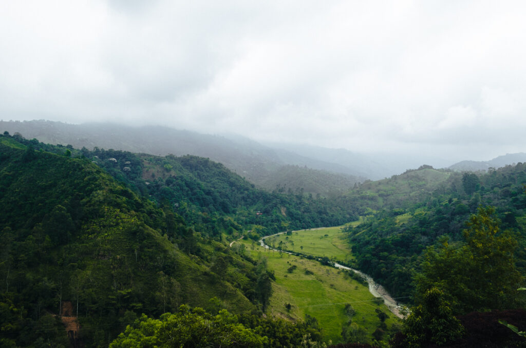 The verdant landscape of Palestina near Salento, Colombia, unfolds with rolling hills and dense greenery. A river snakes through a valley, creating a vivid contrast with the surrounding pastures and forested mountains. The overcast sky casts a soft, diffuse light over the terrain, enhancing the serene and misty atmosphere of this lush region.